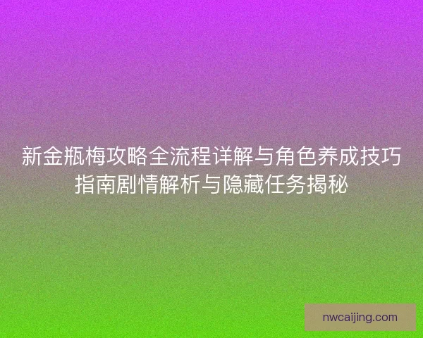 新金瓶梅攻略全流程详解与角色养成技巧指南剧情解析与隐藏任务揭秘