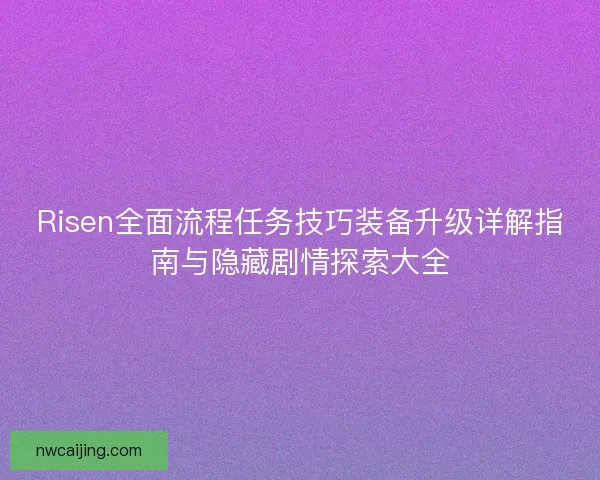 Risen全面流程任务技巧装备升级详解指南与隐藏剧情探索大全